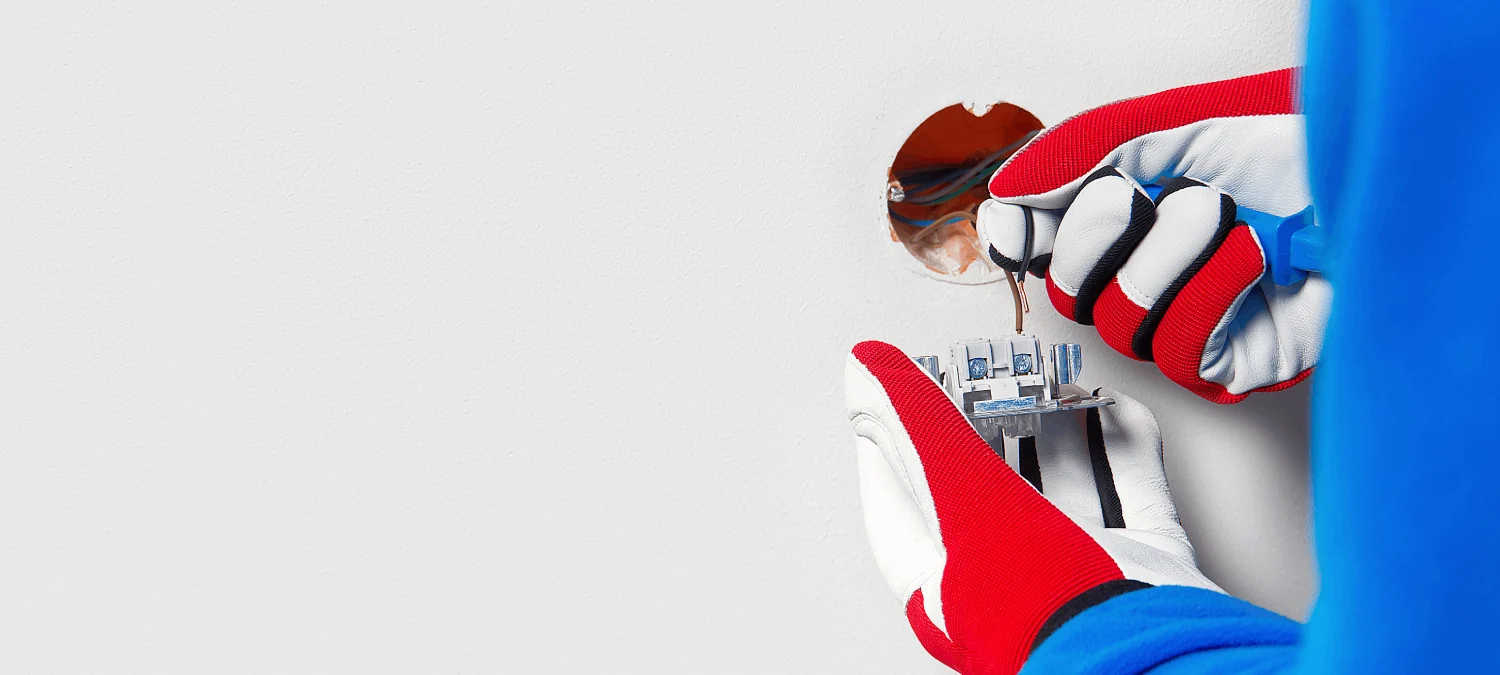 Banner 1